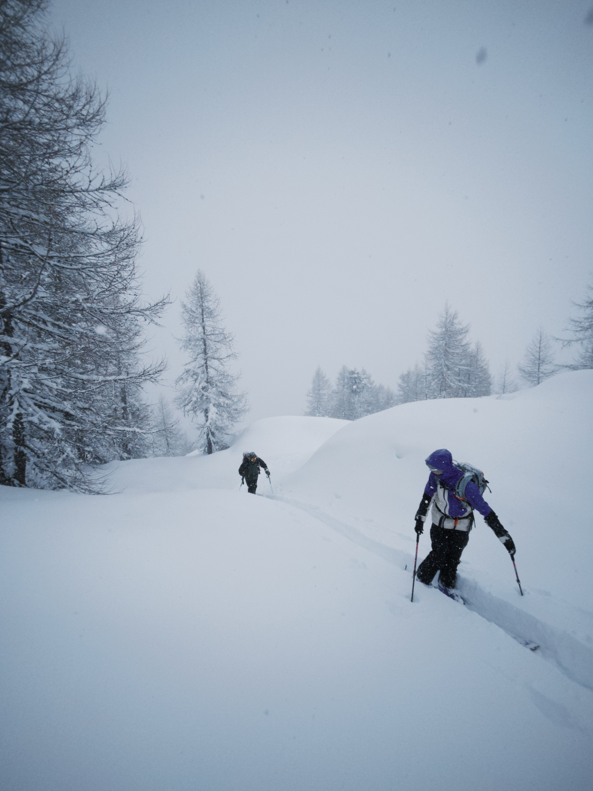 Die besten Allround Skitourenski 2025 – der One-for-all-Ski für jede Tour