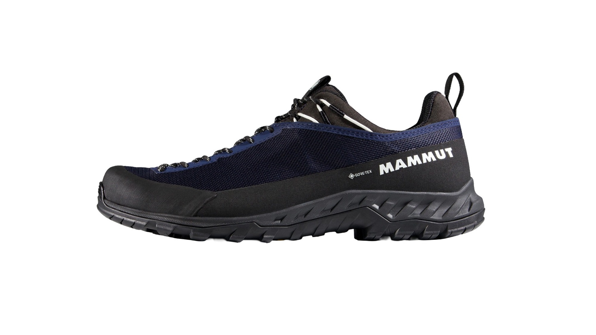 Mammut Alnasca IV Low GTX Men