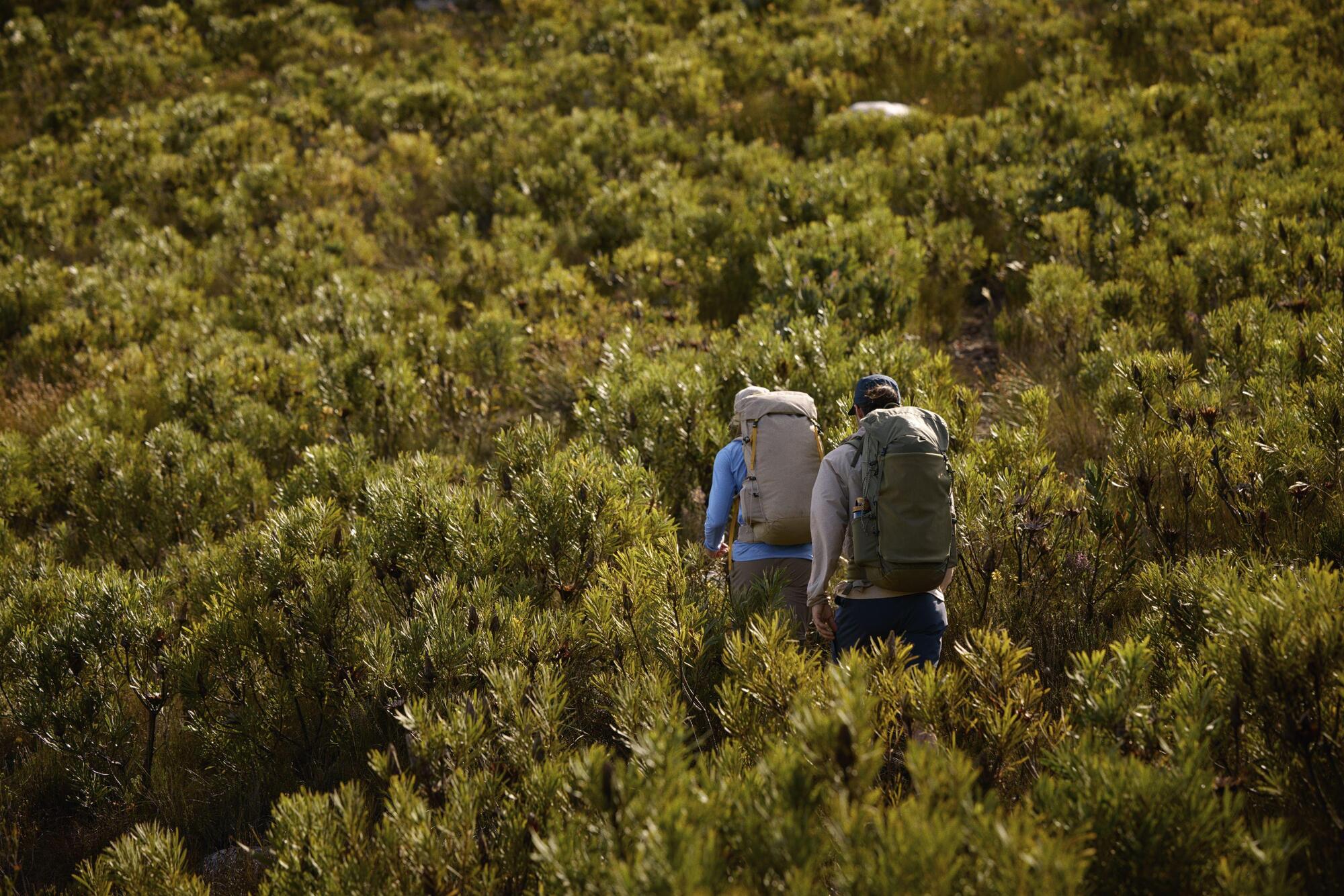 Die besten Trekking- und Mehrtagesrucksäcke 2026