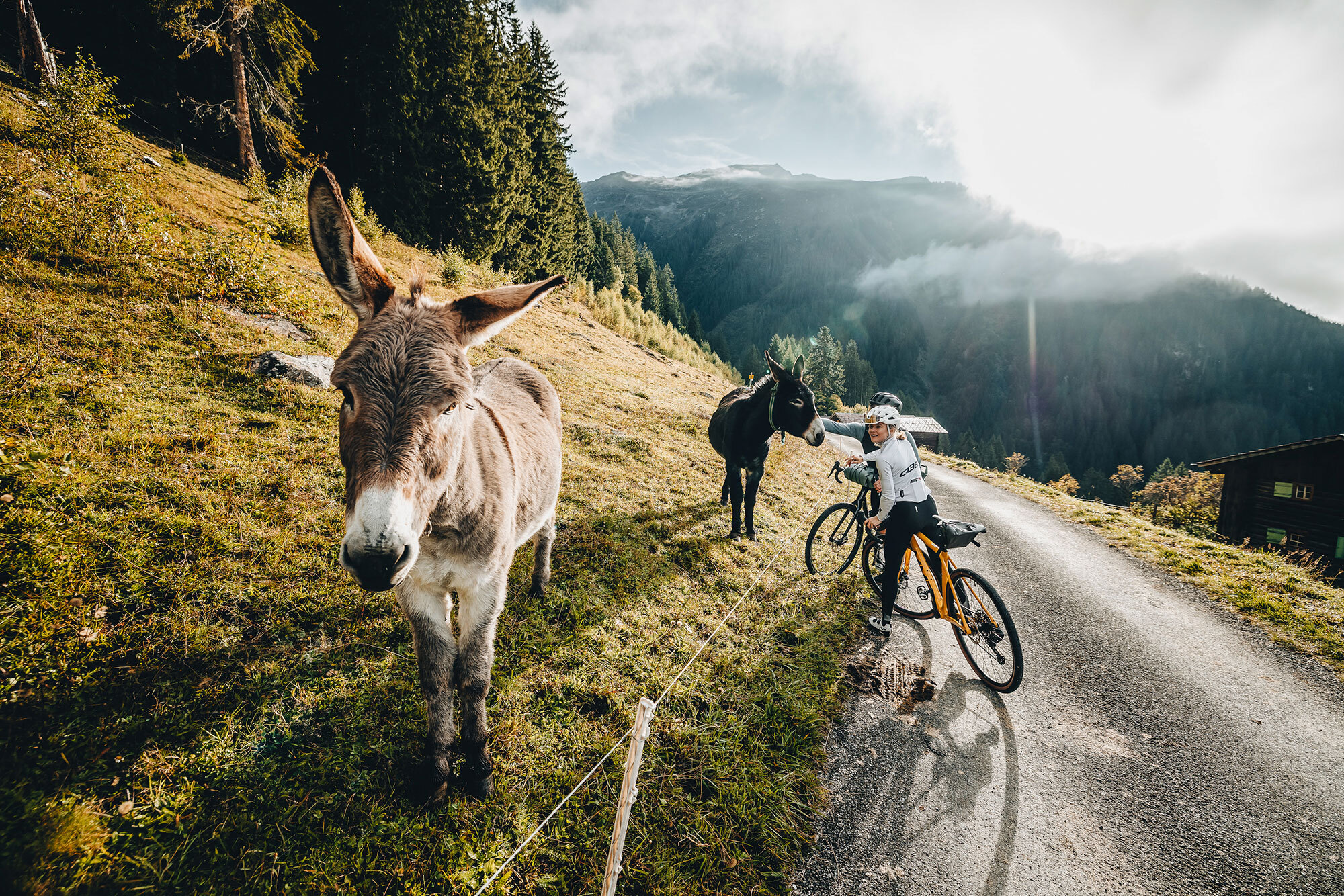 Gravelbike in Klosters: Versteckte Touren abseits der Pässe