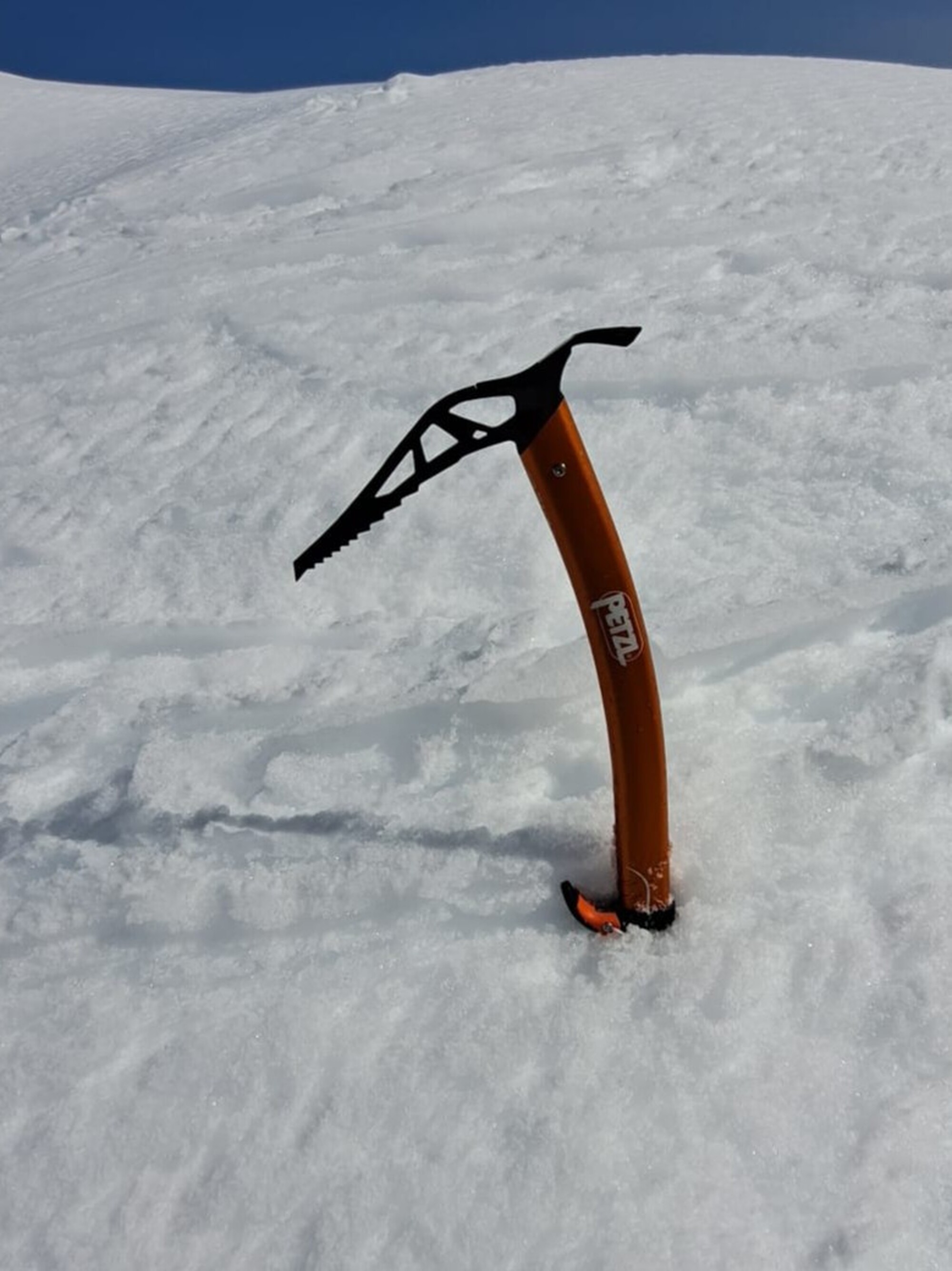 Petzl Gully